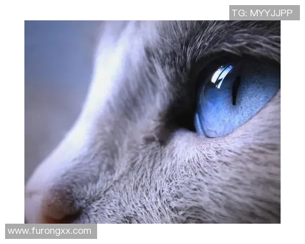 足球场上的颜值巅峰:九宫格拼图展示足球巨星的迷人魅力 足球场上的颜值巅峰:九宫格拼图展示足球巨星的迷人魅力